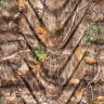 Надувной коврик KLYMIT STATIC V REALTREE EDGE Камуфляж